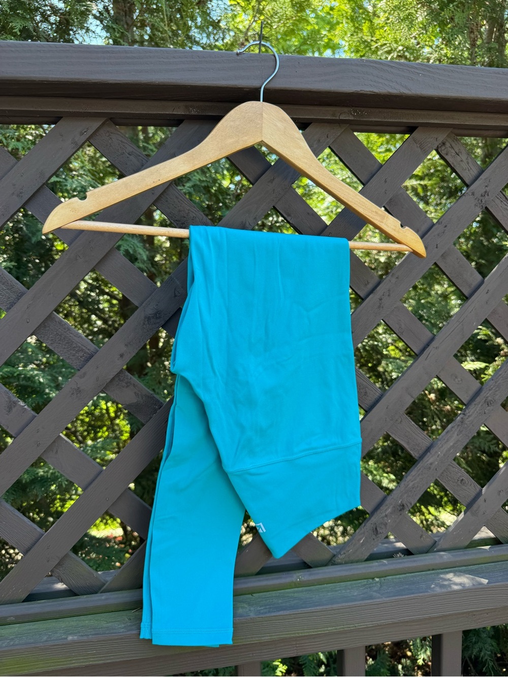 BuffBunny Teal Leggings